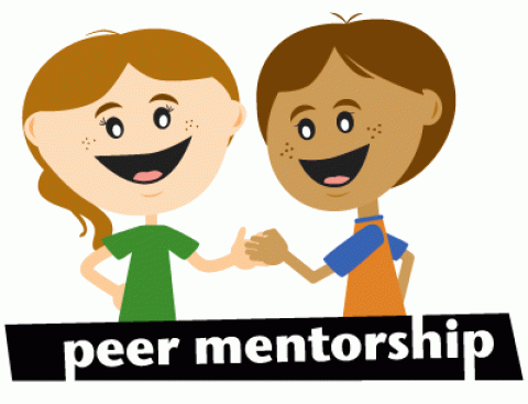 Peer Mentorship