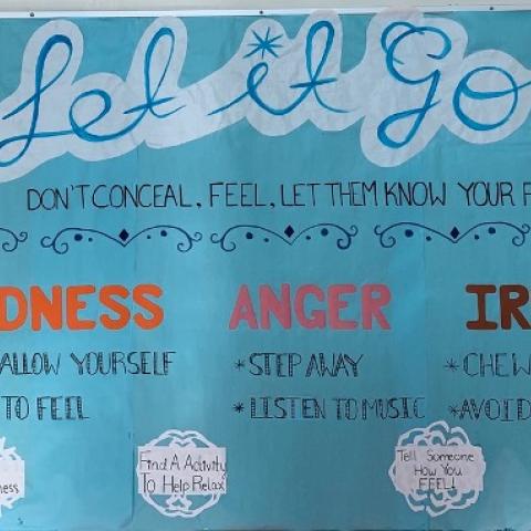 Psychology 12 Know, Do, Understand Mental Health and Wellness Murals